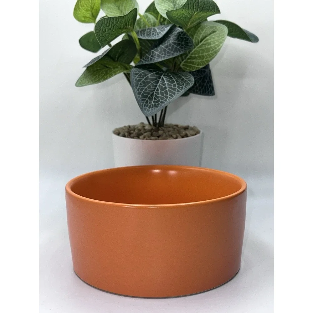 NICE!! Rae Dunn Pet Bowl Dish Bowl Orange Halloween Fall SPOOKY Cat Dog